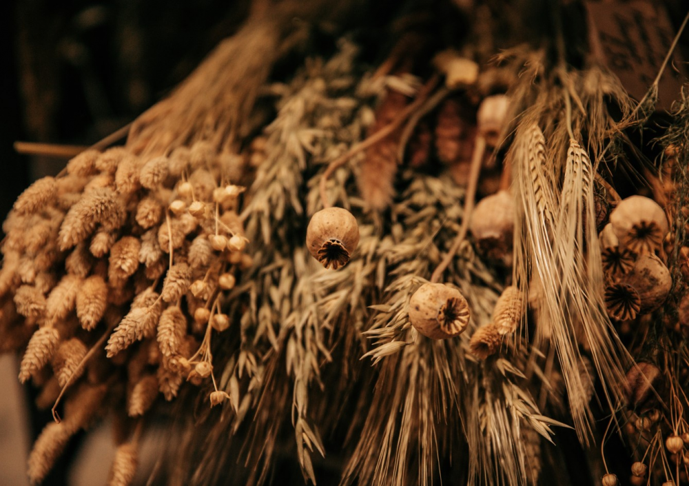 Dried Flowers | Workshop