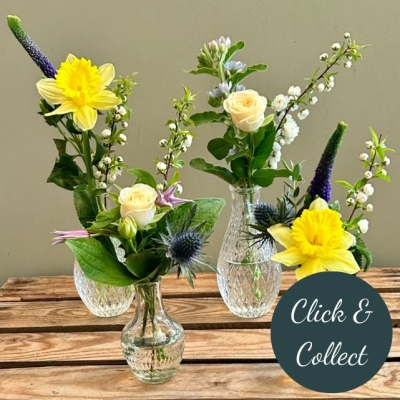 Seasonal Florist Choice Bud Vases (Collection only) - Available for collection, order a set of seasonal bud vases, filled with sweet seasonal stems, perfect to dot around your home! Collection from our shop in Parbold.